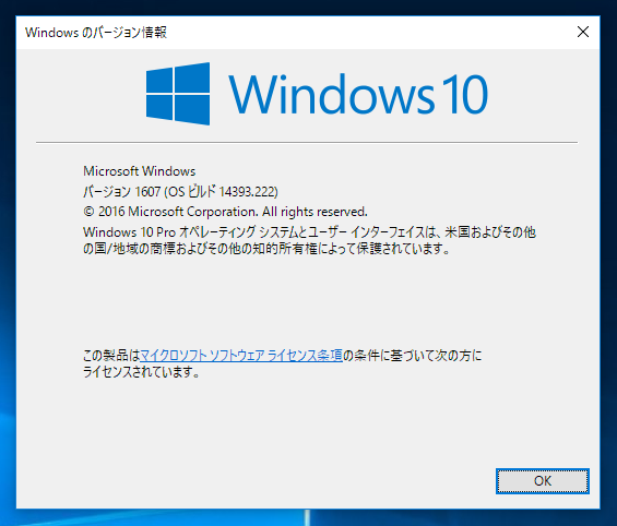 Desktop App Converter をインストールする:画像20