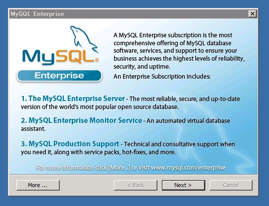 MySQLのインストール (MySQL Community Database Server のインストール):画像8