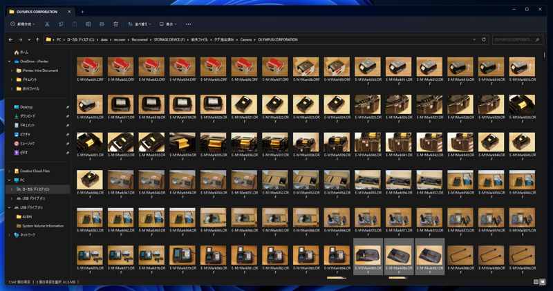 アクセスできなくなったSDカードに保存されている写真を回復する - EaseUS Data Recovery Wizard を利用:画像16