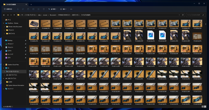 アクセスできなくなったSDカードに保存されている写真を回復する - EaseUS Data Recovery Wizard を利用:画像17