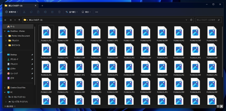 アクセスできなくなったSDカードに保存されている写真を回復する - EaseUS Data Recovery Wizard を利用:画像18