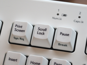 ScrollLock キーがないキーボードでスクロールロックを解除する (HP 製ノートPCなど) / スクロールロックと解除:画像6