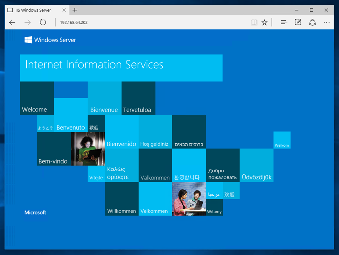 Windows Server 2016 にインターネット インフォメーション サービス (IIS) をインストールする:画像22