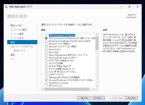 Windows Server 2025 にインターネット インフォメーション サービス (IIS) をインストールする方法:画像9