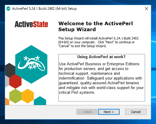 Windows Server に Active Perl をインストールする:画像4