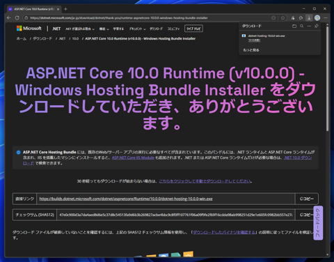 ASP.NET Core 10 Runtime Windows Hosting Bundleをインストールする:画像3