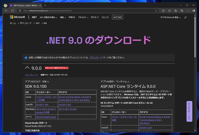 ASP.NET Core 9 Runtime Windows Hosting Bundleをインストールする:画像2