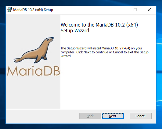 Windows Server にMariaDB Windows版をインストールする:画像8