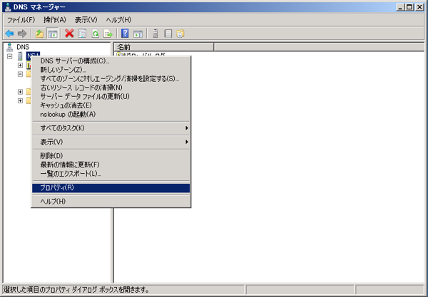 WindowsサーバーでDNSサーバーをコンテンツサーバーとして設定する:画像1