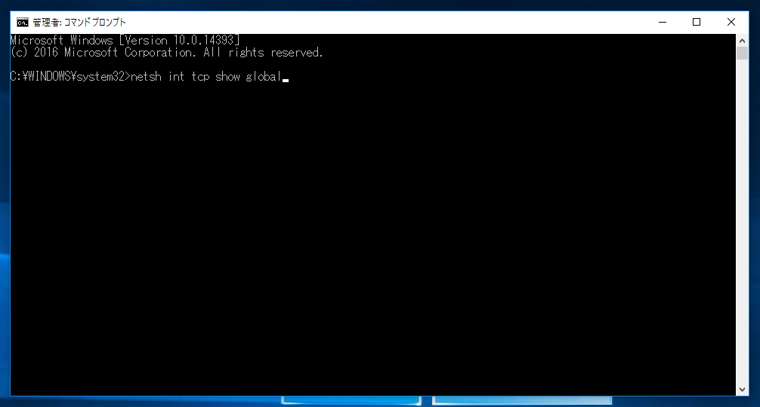 TCP/IP のパラメーターを表示する (netsh コマンドを利用):画像2