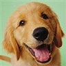 Windowsのユーザーアカウント画像はどこにあるのか:画像7