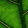Windowsのユーザーアカウント画像はどこにあるのか:画像13