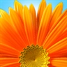 Windowsのユーザーアカウント画像はどこにあるのか:画像15