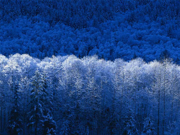 Windows Vista の壁紙:画像147