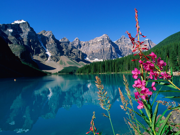 Windows Vista の壁紙:画像148