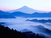 Windows Vista の壁紙:画像155