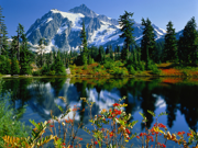 Windows Vista の壁紙:画像156