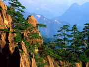 Windows Vista の壁紙:画像162