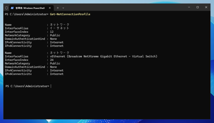 Windows Server 2025 のネットワーク設定を「プライベートネットワーク」に変更する:画像5
