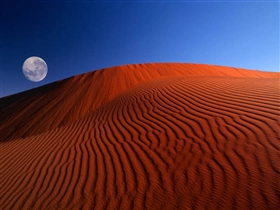 Windows XP の壁紙:画像31